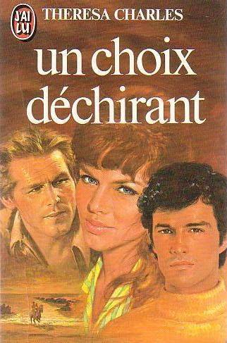 Couverture du livre Un Choix déchirant de Theresa Charles