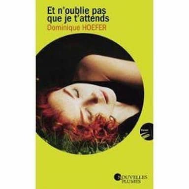 Couverture du livre Et n'oublie pas que je t'attends de Dominique Hoefer