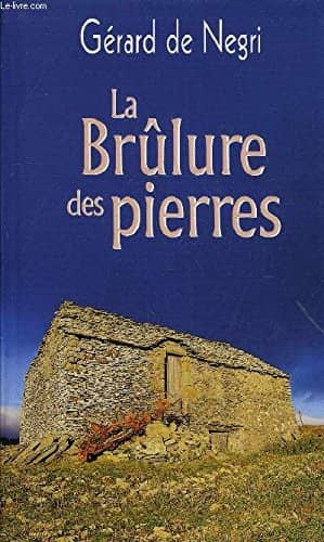 Couverture du livre La brûlure des pierres de Gérard de Negri